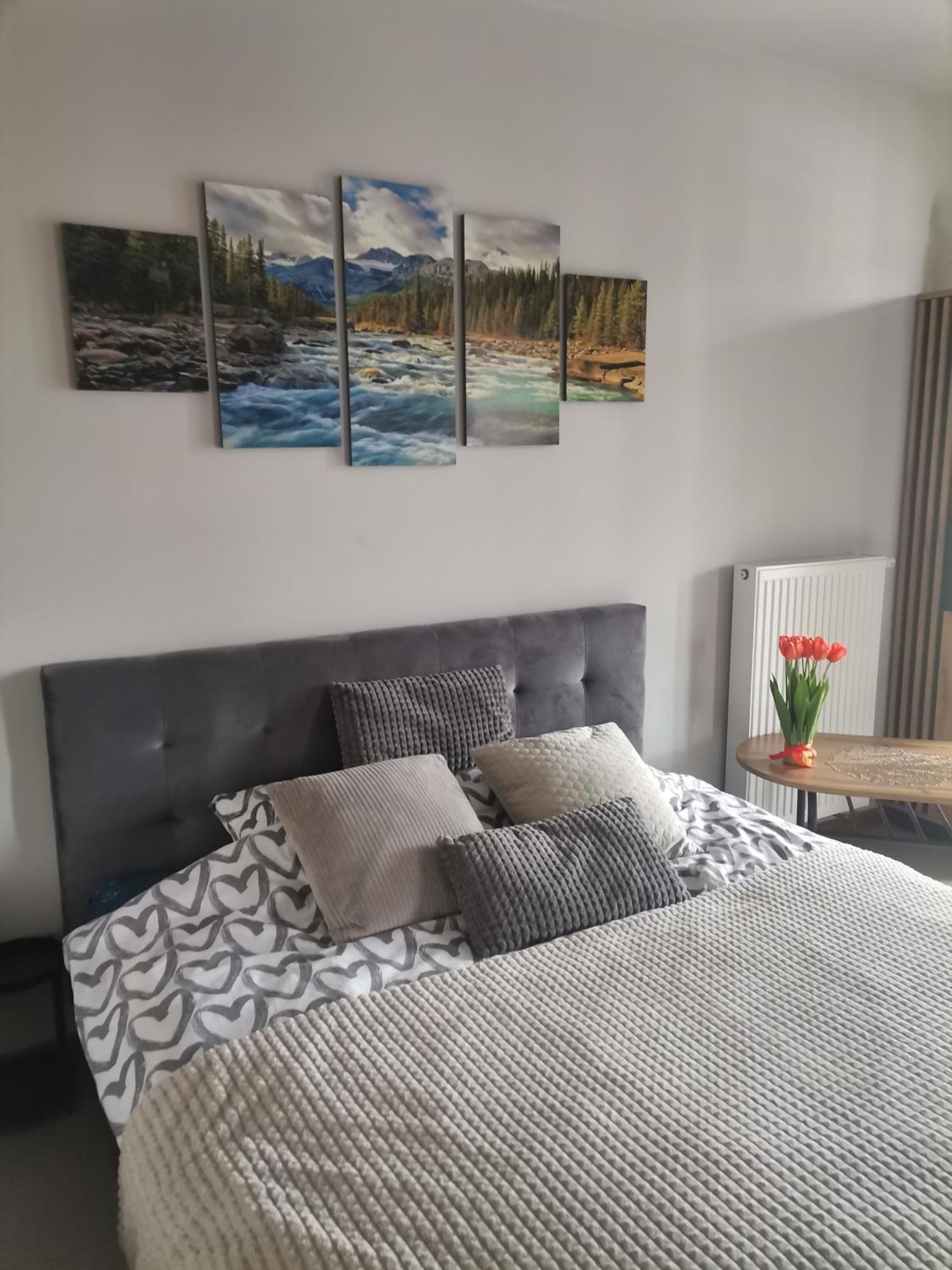 Apartament Gorska Szarotka Nowy Targ Exterior foto