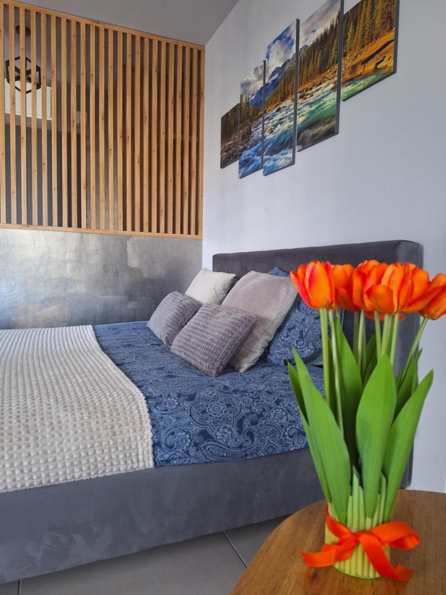 Apartament Gorska Szarotka Nowy Targ Exterior foto