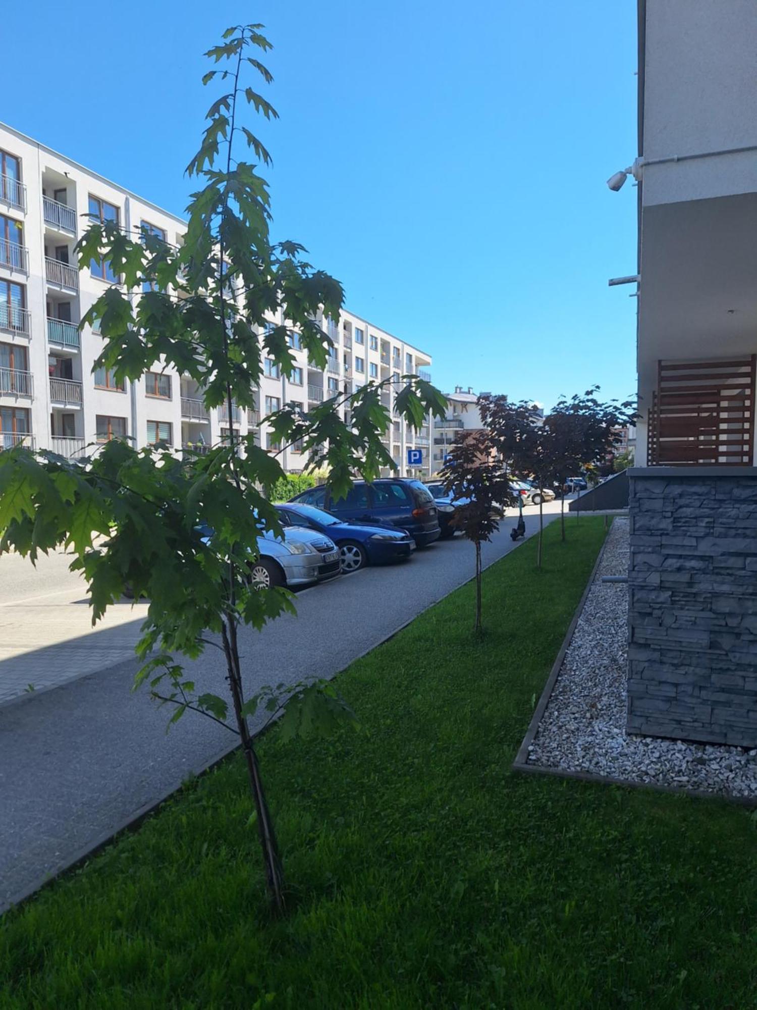 Apartament Gorska Szarotka Nowy Targ Exterior foto